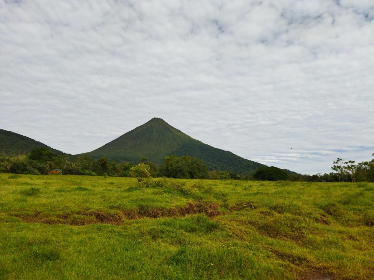 Alinas House Leilighet La Fortuna Eksteriør bilde